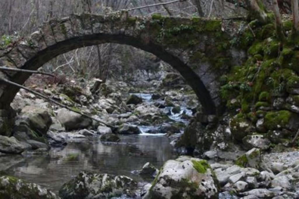 Villa Torre Del Grifone Nel Medioevo Di Cividale Del Friuli Faedis Exterior foto